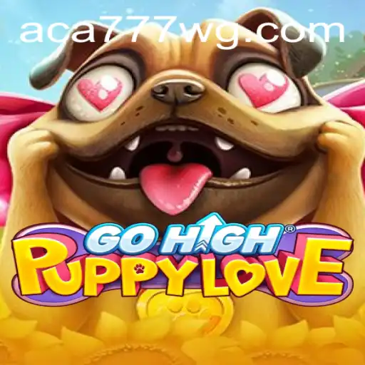 GoHighPuppyLove: Um Mergulho no Mundo Encantado dos Pets e Aventuras
